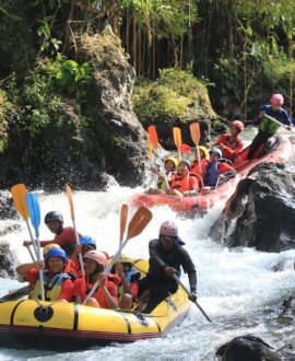 Rafting